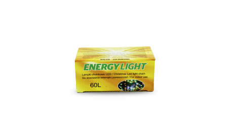 Christmas tree lights 60LED Blue - 5m