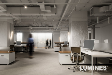 LUMINES GENESIS Magnetic light LINEAR 15 W CCT white