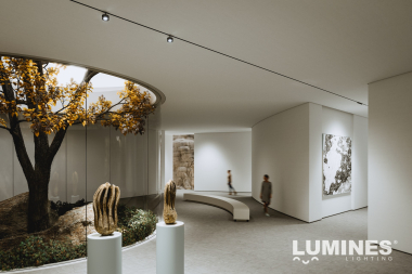 LUMINES GENESIS Magnetic light RING+ 12 W 4000 K black