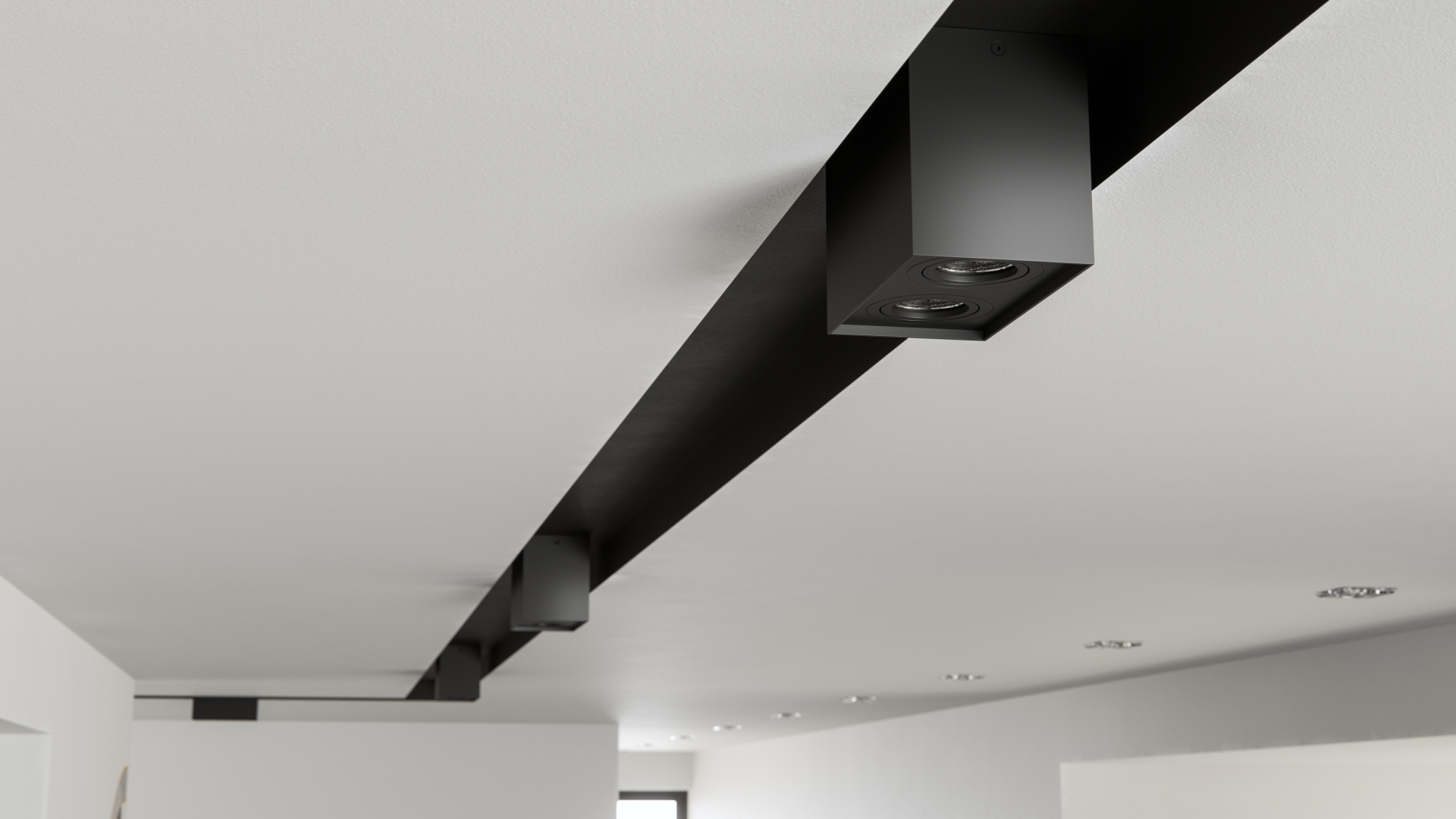 Black surface-mounted tubes ceiling in the hallway
